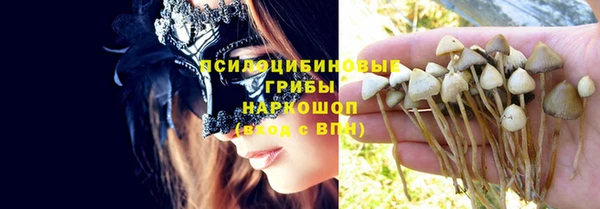 соль ск Навашино