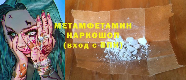 индика Михайловск